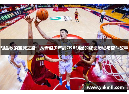胡金秋的篮球之路：从青涩少年到CBA明星的成长历程与奋斗故事